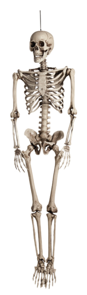 Skelet-0