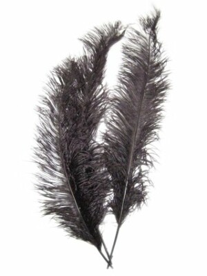 Spadonis veren zwart (Piet veren) ± 50cm