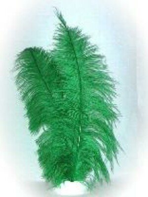 Spadonis veren groen (Piet veren) ± 50cm