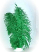 Spadonis veren groen (Piet veren) ± 50cm 1