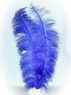 Spadonis veren blauw (Piet veren) ± 50cm
