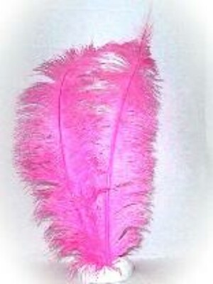 Spadonis veren pink (Piet veren) ± 50cm