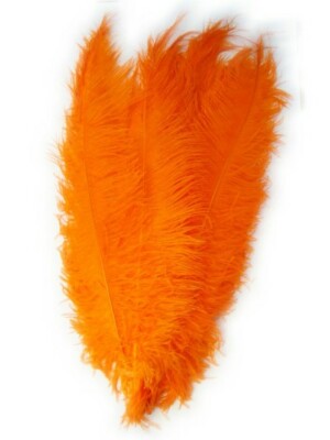 Spadonis veren oranje (Piet veren) ± 50cm