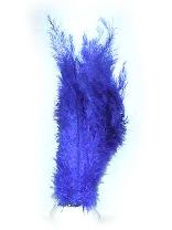 Floss veren blauw (Piet veren) ± 30cm 1