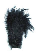 Floss veren zwart (Piet veren) ± 30cm