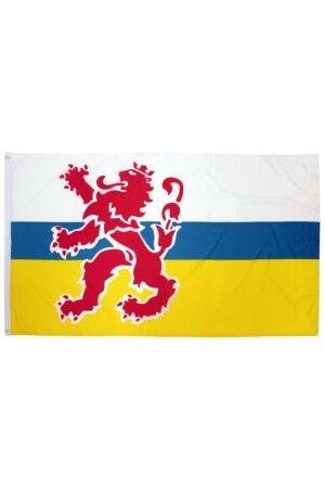 Vlag Limburg met leeuw 90 x 150 cm.